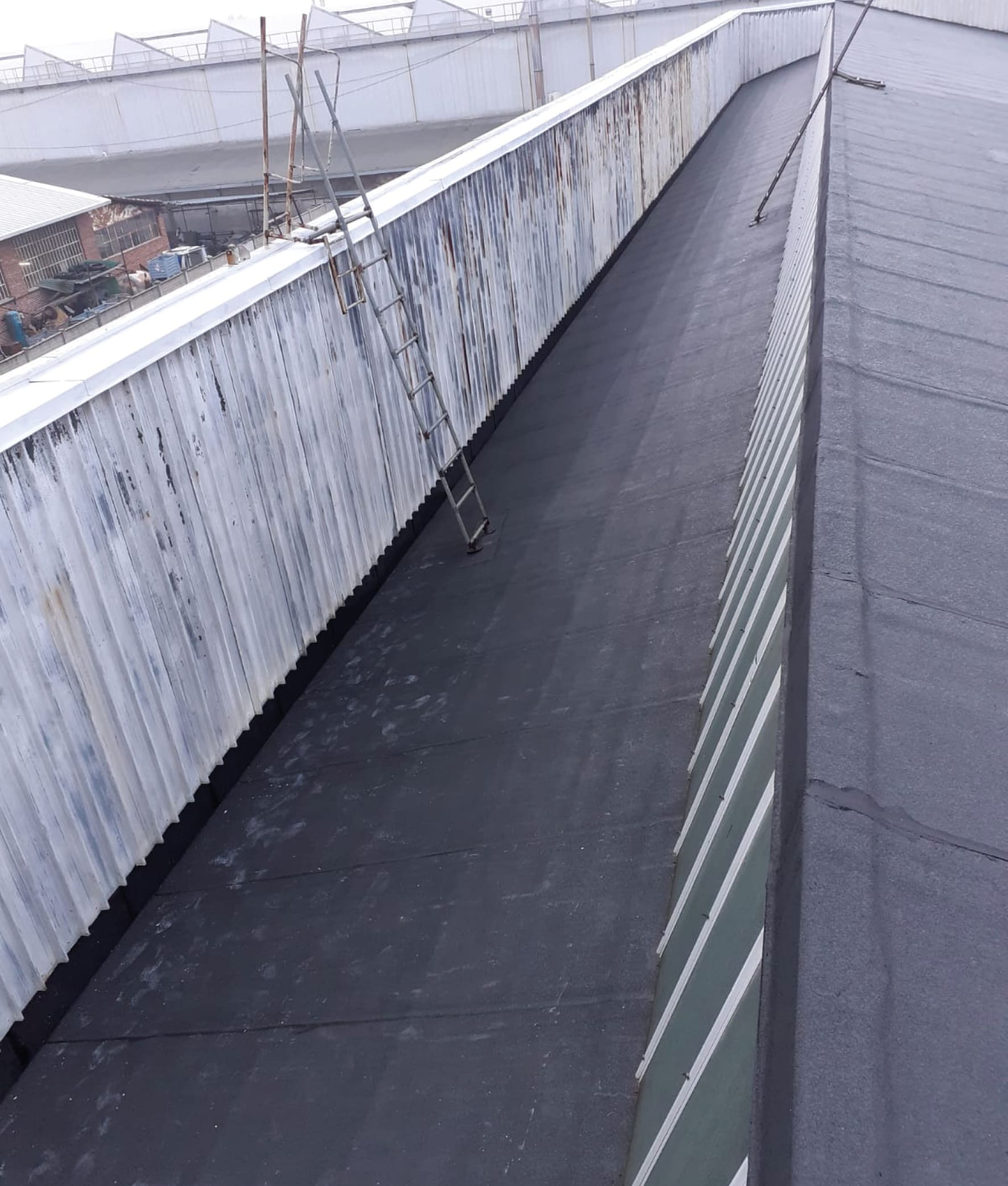 Coperture industriali 10