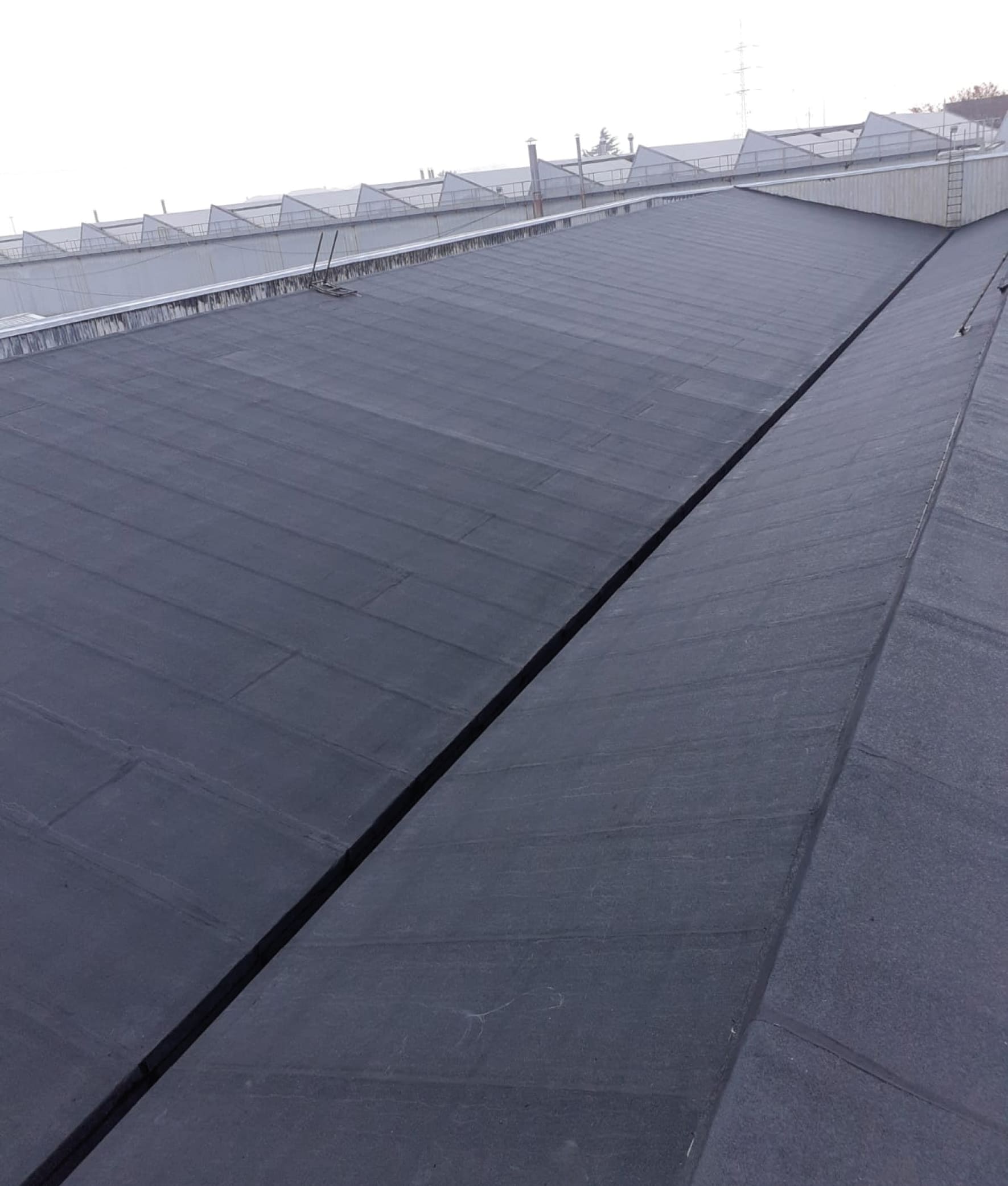 Coperture industriali 11