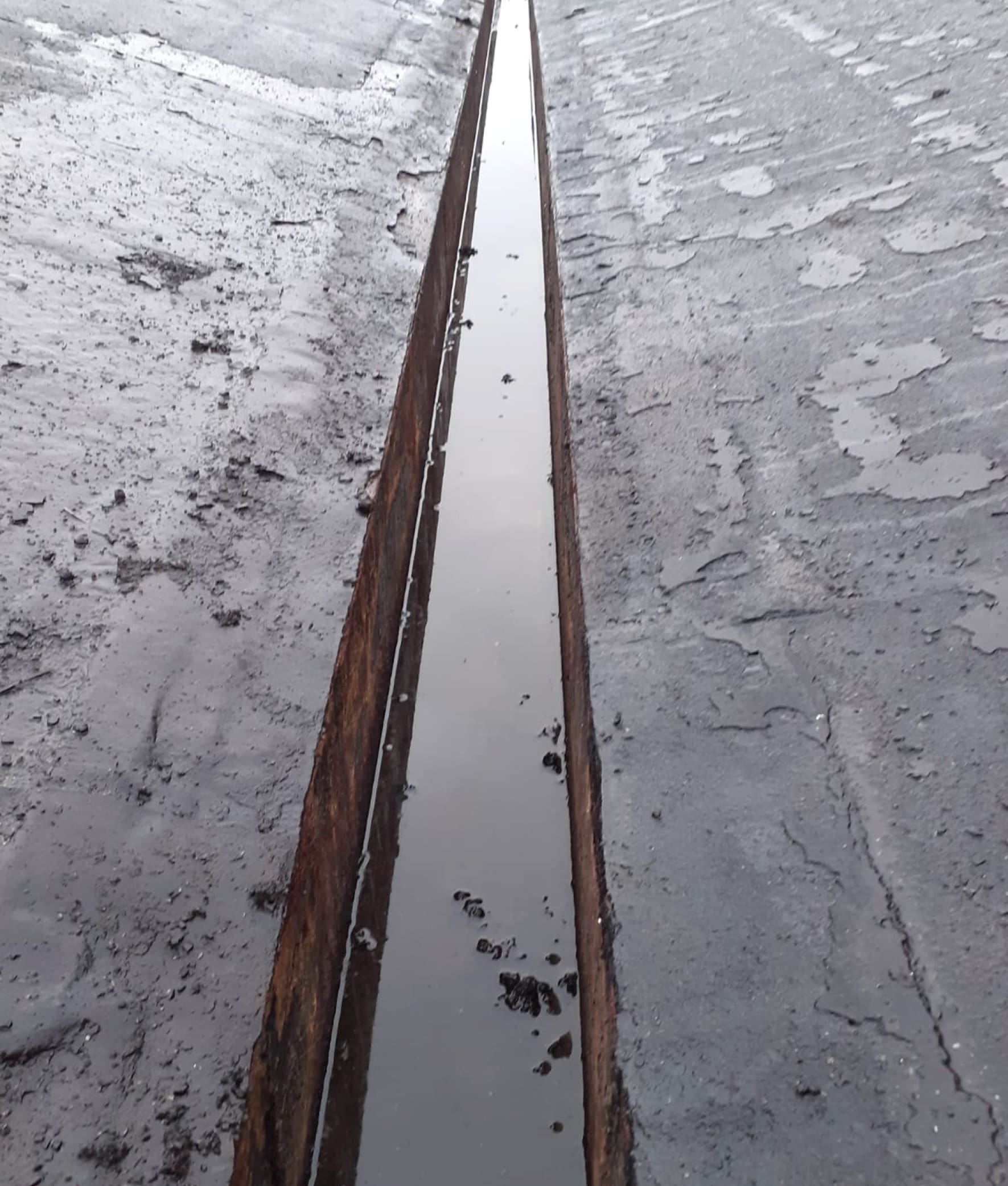 Coperture industriali 23